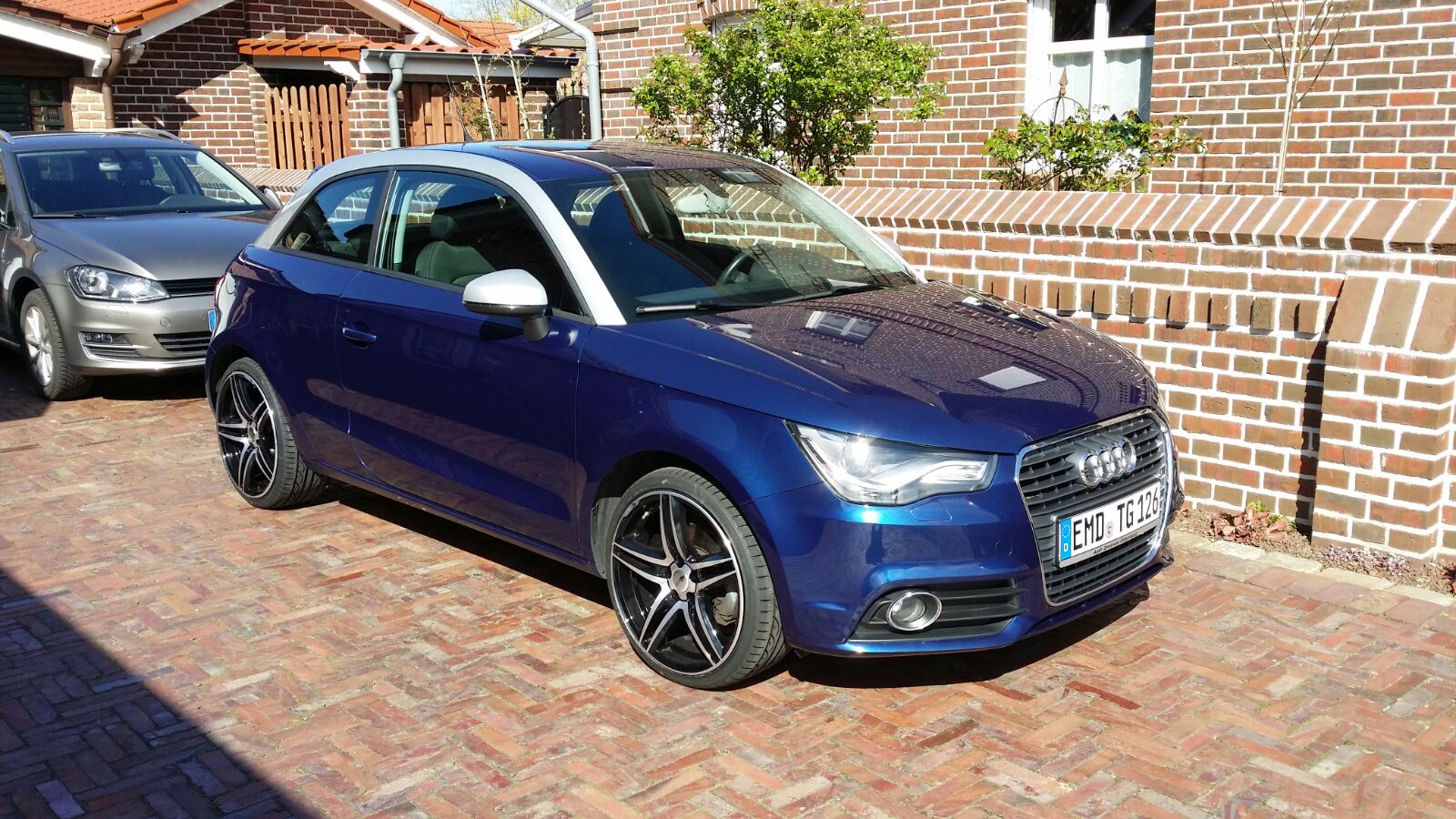 Bilder-BackUp 275.jpg