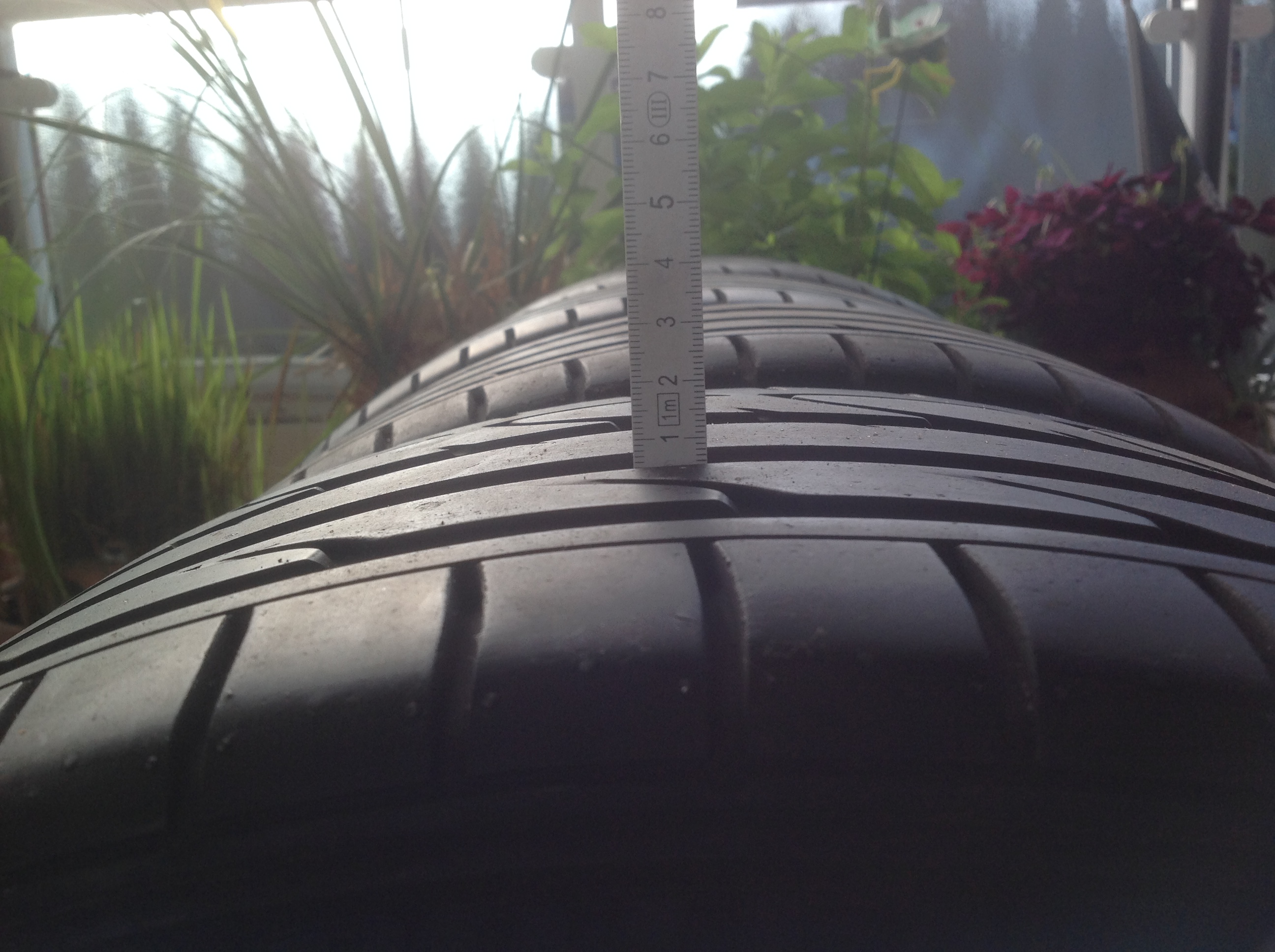 Foto 20.05.17, 08 30 14.jpg