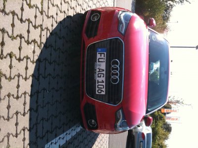 Foto4.JPG
