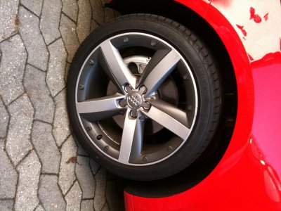 Foto7.JPG