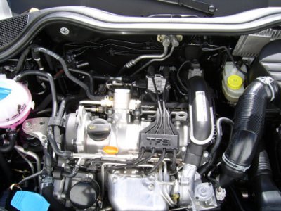 SSA44336.JPG