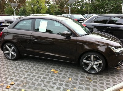 teak2.jpg