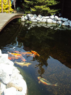 DSC00020.JPG