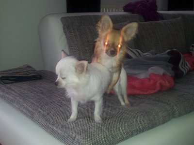 Lilli-und-Maja.jpg
