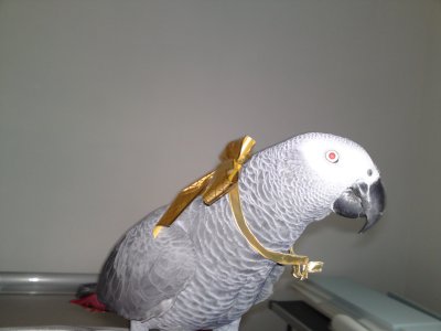 02012012076.JPG