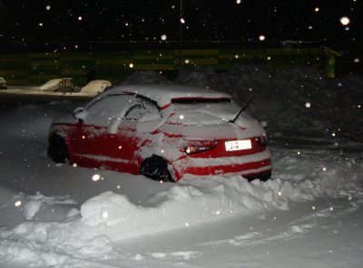 12-02-15 Piranha im Schnee (1).jpg