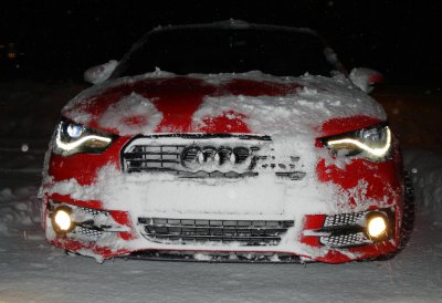 12-02-15 Piranha im Schnee (3).JPG