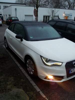 20120224_072439.jpg