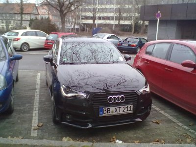 28022012458.jpg