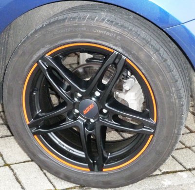 P1000441.jpg