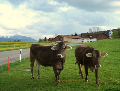 12-05-03 Tour durchs Oberallgäu (2).JPG