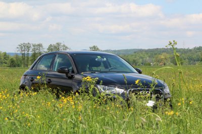 IMG_3356 n.jpg
