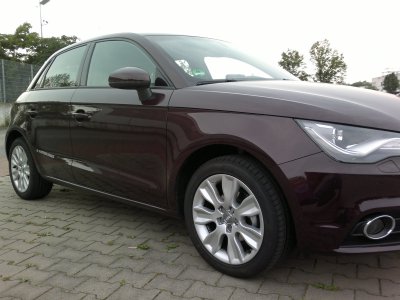 2012-05-29-016.jpg