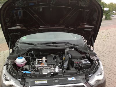2012-05-29-023.jpg