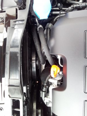 20120601_152645.jpg