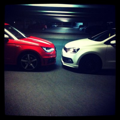 a1 polo.jpg