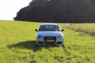 2012-08-12 18.30.43.jpg