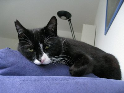 Jeanny_couch 018.jpg