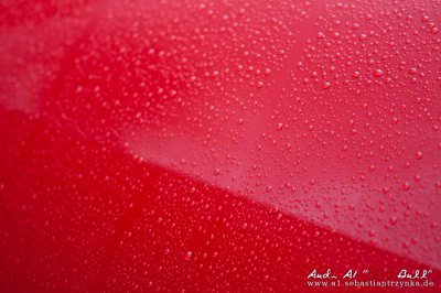 IMG_0025.jpg