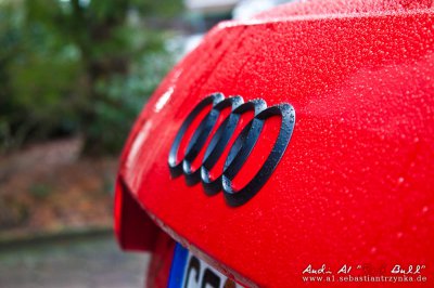 IMG_0026.jpg