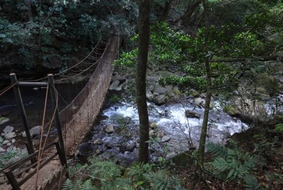 Costa Rica Volcan Rincón Brücke.JPG
