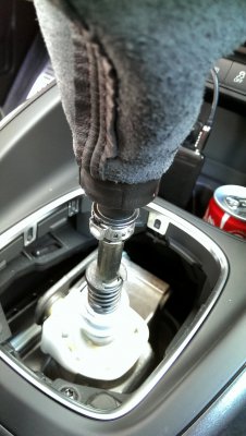 IMAG1067.jpg