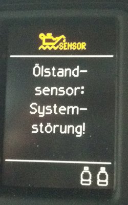 oel.jpg