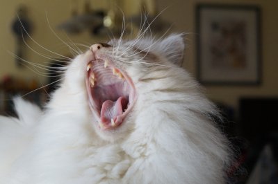 test.jpg