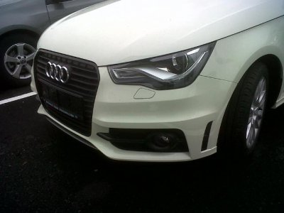 IMG00044-20101117-1508.jpg