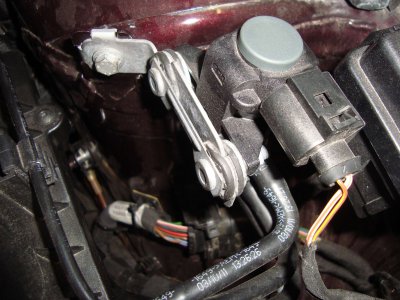 audi1.jpg