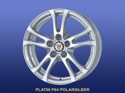 P64 POLARSILBER_Detail.jpg