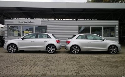 Büffel seine A1.jpg