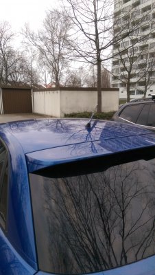IMAG0572.jpg