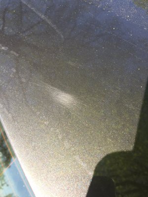 image1.JPG