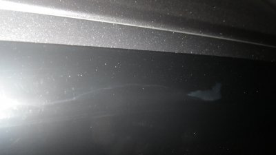 IMGP0830.JPG