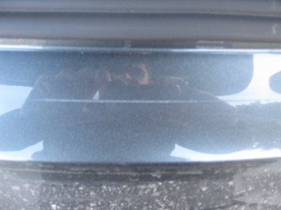IMG_1087.jpg