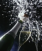 champagner.JPG