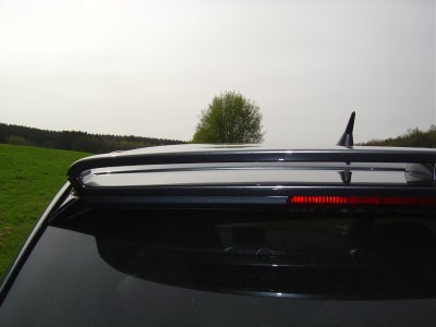 DSC01247.JPG