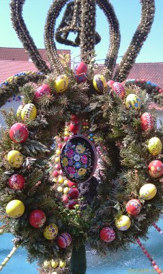 IMAG0230.jpg