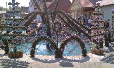 IMAG0235.jpg
