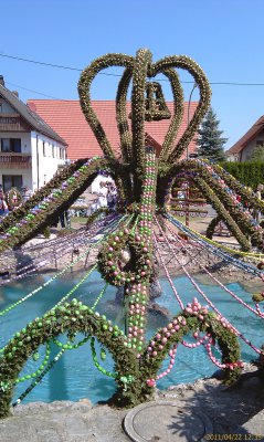 IMAG0240.jpg