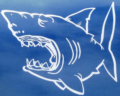 BlueShark.jpg