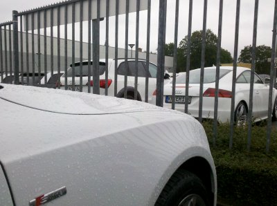 2011-06-25_10-40-32_213.jpg