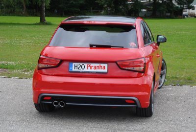 H2Os Piranha 01.jpg