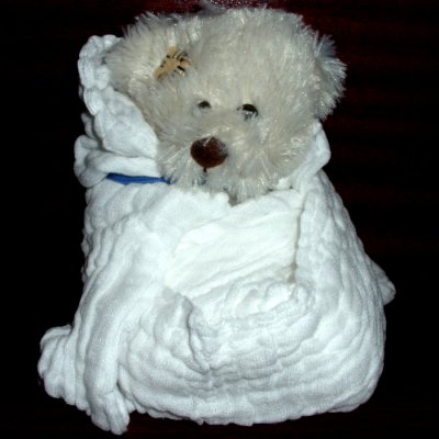 baer007-700.jpg