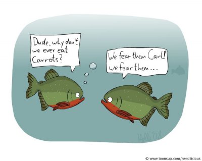 piranhas_080401_0114.jpg