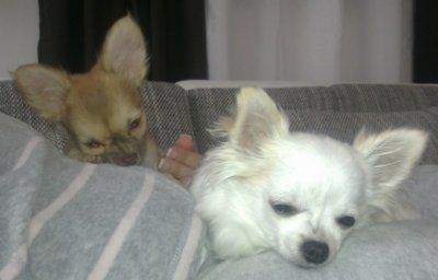 Lilli+Maja.jpg
