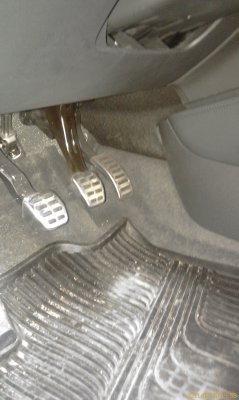 IMAG0331.jpg
