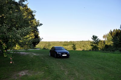 DSC_0706.JPG