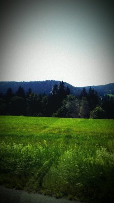 IMAG0244.jpg
